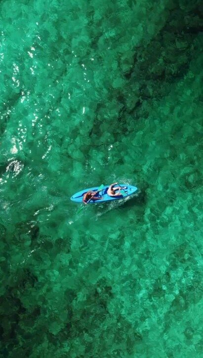 Buenos clientes a bordo, Lobos y Papagayo